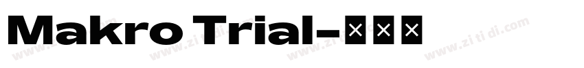 Makro Trial字体转换